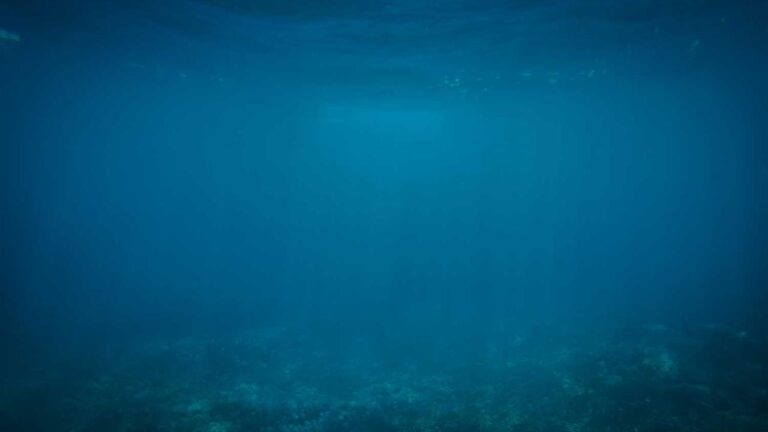 How To Reset 11Xplay Com Login Password Online?